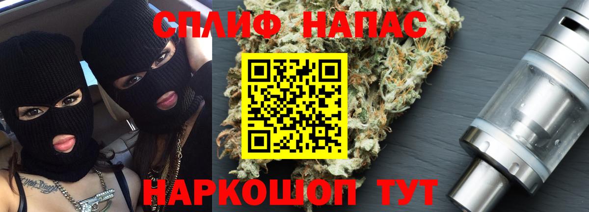 Конопля сатива Городец